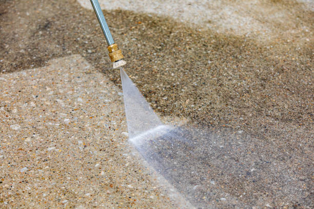 Best Animal Enclosure Cleaning  in Southeast Arcadia, FL